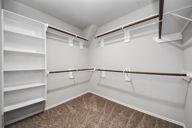 23714 Piedmont Forest Dr, Katy, TX 77493 - walk in closet featuring carpet flooring