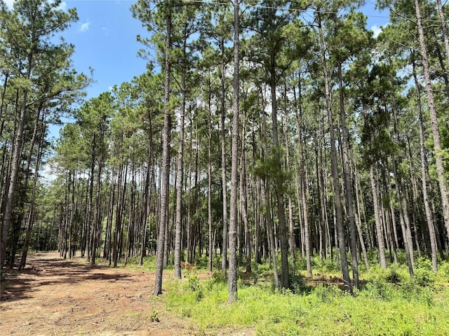TBD County Road 2626, Wells, TX 75976 - photo 2