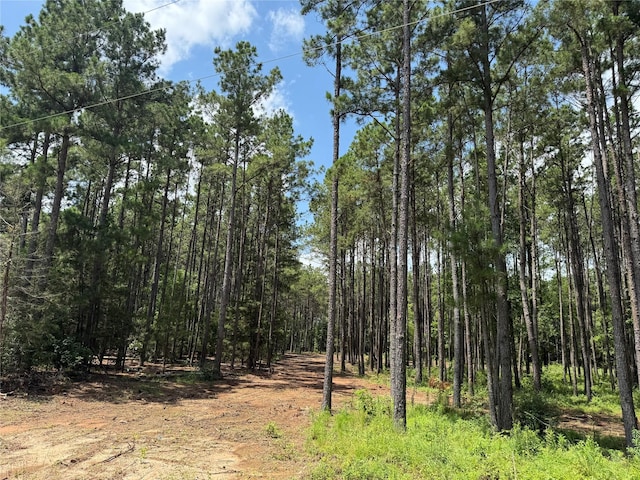 TBD County Road 2626, Wells, TX 75976 - photo 3