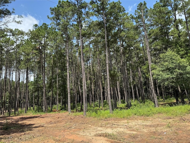 TBD County Road 2626, Wells, TX 75976 - photo 4