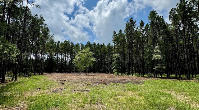 TBD County Road 2626, Wells, TX 75976 - photo 1