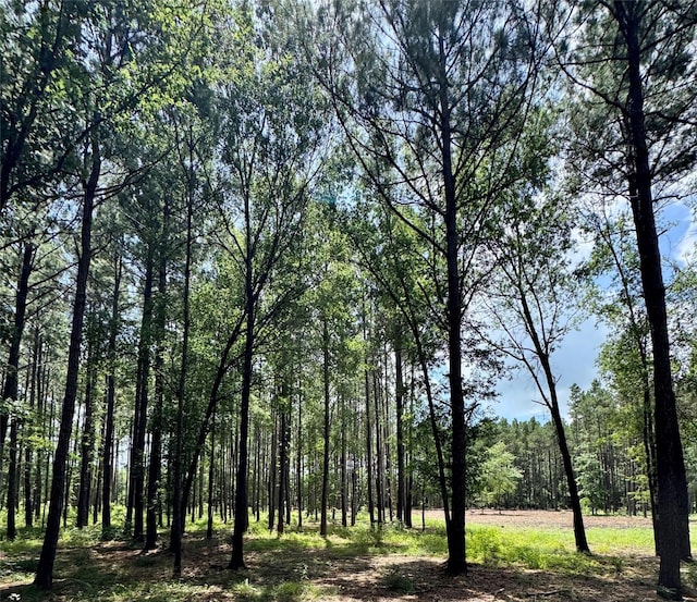 TBD County Road 2626, Wells, TX 75976 - photo 5