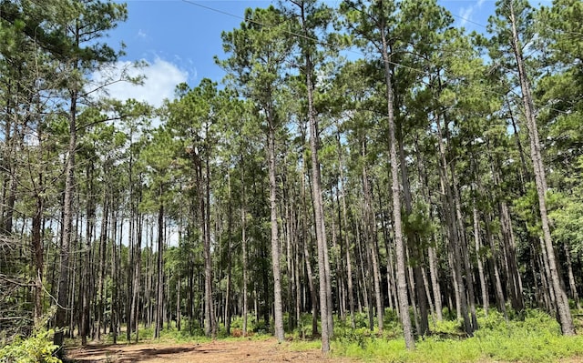 TBD County Road 2626, Wells, TX 75976 - photo 6