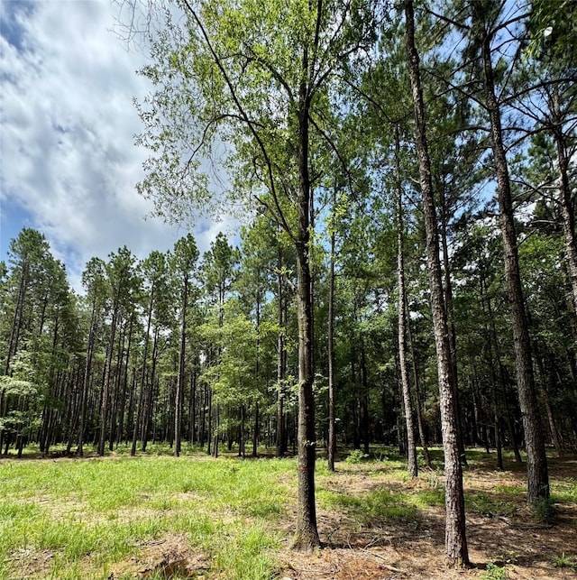 TBD County Road 2626, Wells, TX 75976 - photo 7
