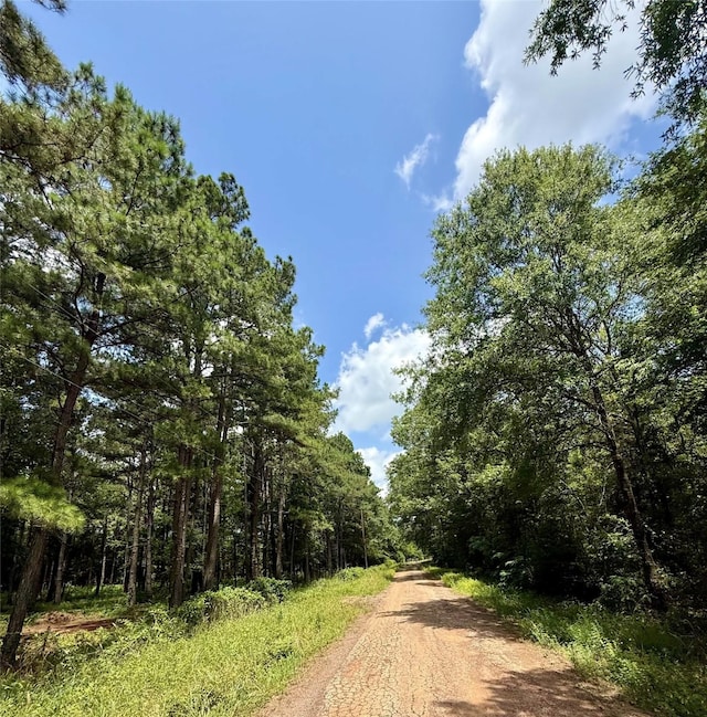 TBD County Road 2626, Wells, TX 75976 - photo 8