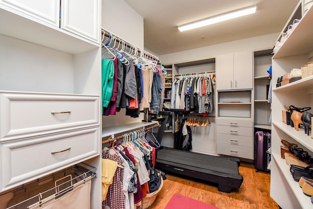 14023 Armant Place Dr, Cypress, TX 77429 - walk in closet featuring wood finished floors