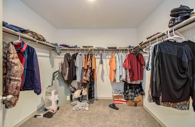 623 Hidden Brook Dr, Baytown, TX 77523 - walk in closet with carpet floors