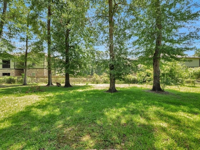 602 Devereaux St, Diboll, TX 75941 - view of green lawn