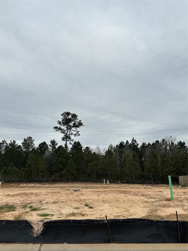 42587 Rustico Rd, Magnolia, TX 77354 - view of yard featuring a wooded view
