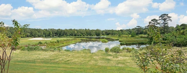 42587 Rustico Rd, Magnolia, TX 77354 - water view with a forest