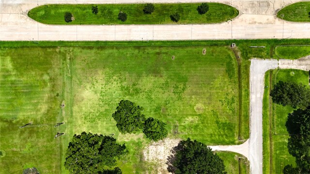 602 Sycamore Rd, Richmond, TX 77469 - photo 8