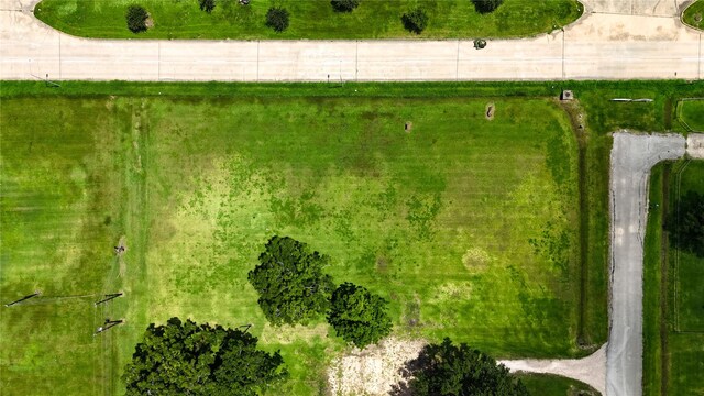 602 Sycamore Rd, Richmond, TX 77469 - photo 10