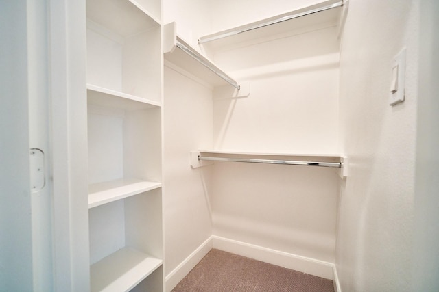 2802 Grand Fountains Dr Unit C, Houston, TX 77054 - walk in closet featuring carpet flooring