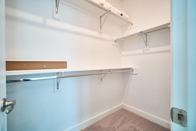 2802 Grand Fountains Dr Unit C, Houston, TX 77054 - spacious closet featuring light colored carpet