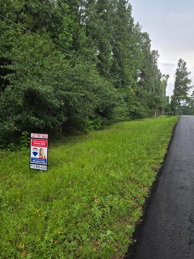 0 Country Pl, Magnolia, TX 77355 - photo 1