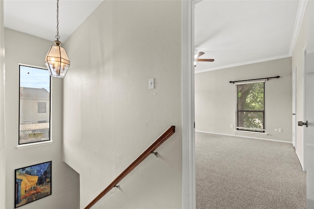 2425 Augusta Dr Unit 30, Houston, TX 77057 - stairway featuring ceiling fan, carpet, and crown molding
