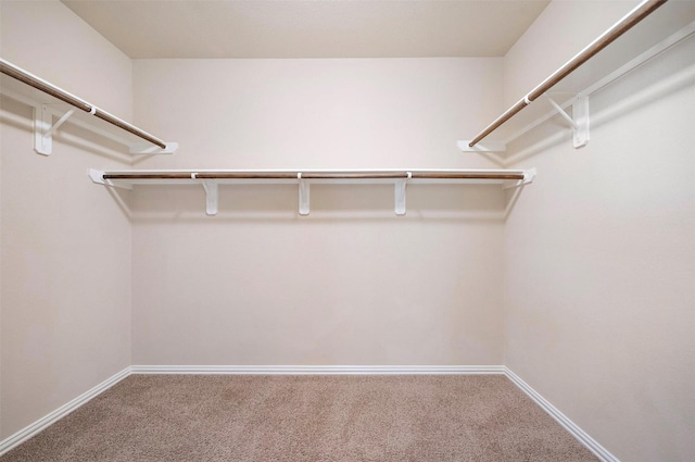 2 Painted Post Pl, Spring, TX 77389 - spacious closet featuring carpet floors