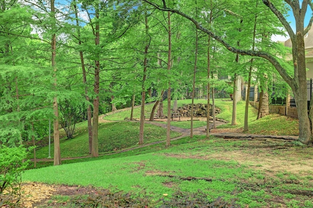 210 Park Laureate Dr, Houston, TX 77024 - photo 42