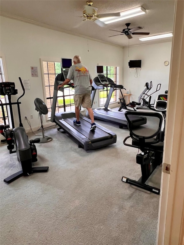 667 E Country Grove Cir, Pearland, TX 77584 - workout area with ceiling fan
