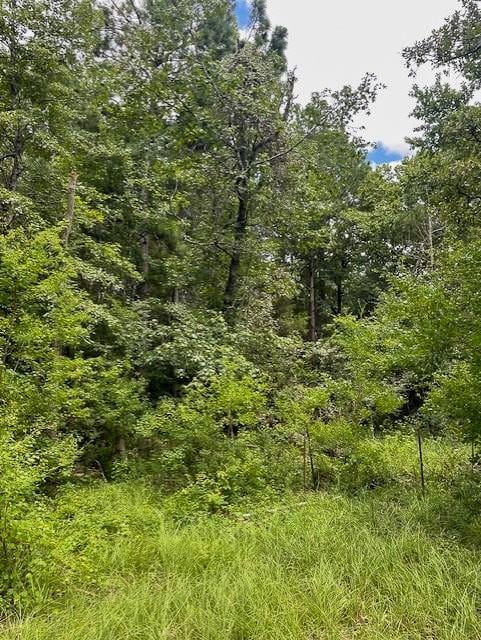 TBD Jenkins Rd, Huntsville, TX 77320 - photo 2