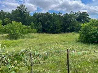 TBD Jenkins Rd, Huntsville, TX 77320 - photo 3