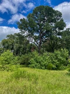 TBD Jenkins Rd, Huntsville, TX 77320 - photo 4
