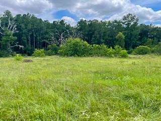 TBD Jenkins Rd, Huntsville, TX 77320 - photo 5