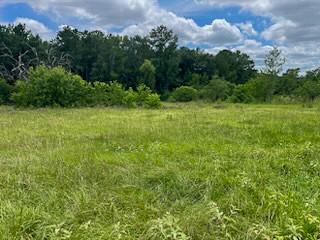 TBD Jenkins Rd, Huntsville, TX 77320 - photo 6