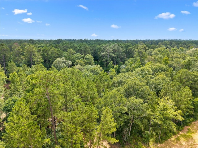 11546 Bramble Ct, Willis, TX 77378 - photo 5