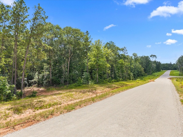 11546 Bramble Ct, Willis, TX 77378 - photo 2