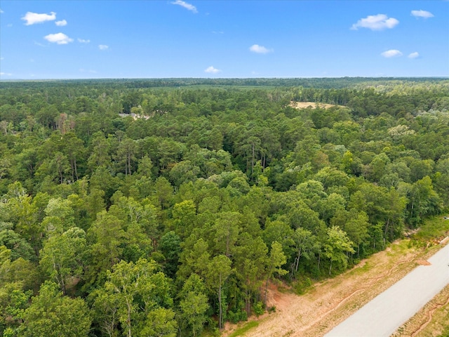 11546 Bramble Ct, Willis, TX 77378 - photo 6