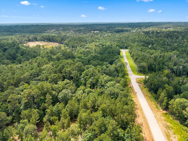 11546 Bramble Ct, Willis, TX 77378 - photo 11