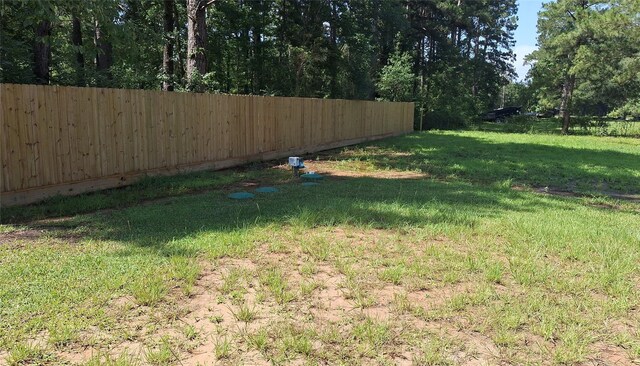 2787 Mangum Rd, Livingston, TX 77351 - photo 17