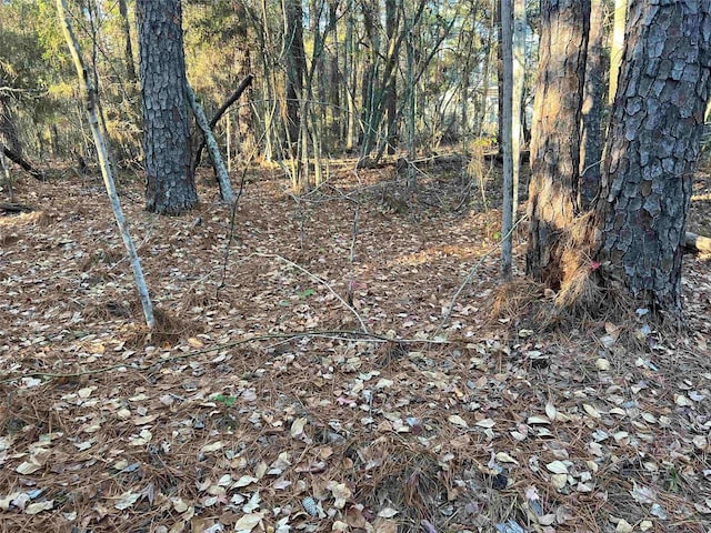 051 Inglewood Dr E, Brookeland, TX 75931 - photo 12