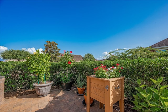 3903 Grand Fir Ct, Richmond, TX 77469 - view of patio