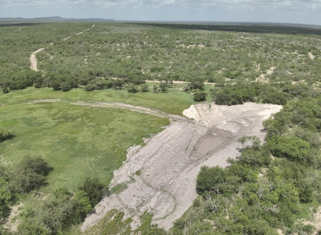 NA Highway 90, Brackettville, TX 78832 - photo 4