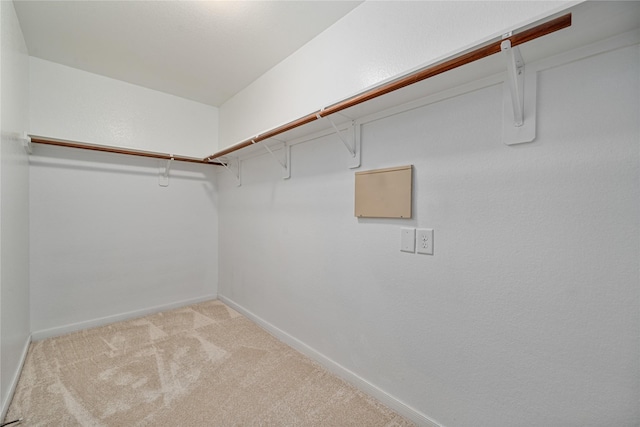 9826 Orchid Spring Ln, Houston, TX 77044 - walk in closet with light carpet