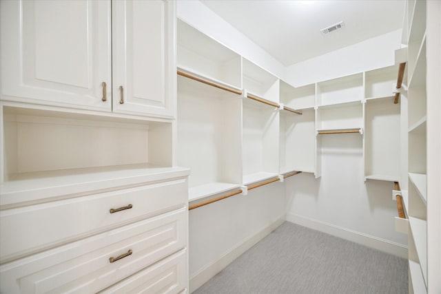718 Marywood Chase, Houston, TX 77079 - spacious closet with light carpet