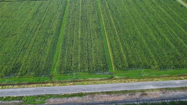 19020 Fm 1164th Rd, East Bernard, TX 77435 - photo 3