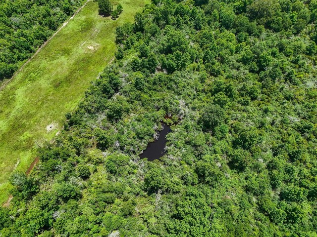 TBD County Road 182, Liberty, TX 77575 - photo 6