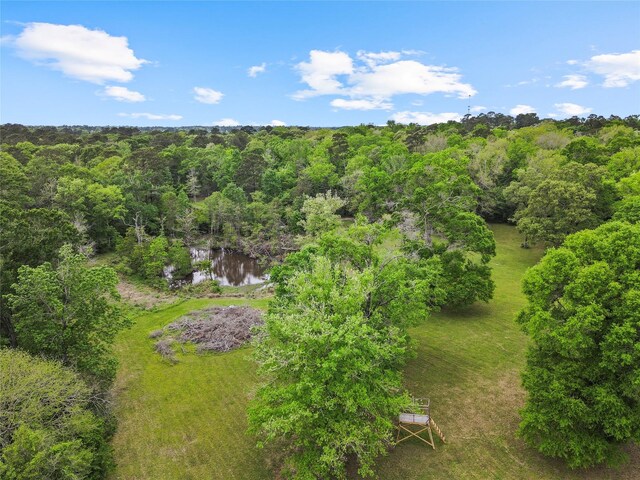 12056 Forest Glen Dr, Conroe, TX 77303 - photo 8