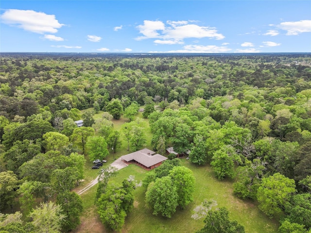 12056 Forest Glen Dr, Conroe, TX 77303 - photo 9