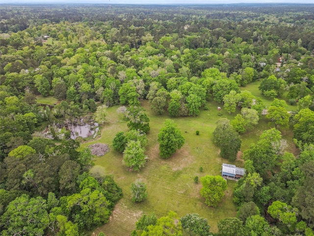 12056 Forest Glen Dr, Conroe, TX 77303 - photo 45