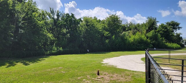 215 Bridgeview Dr, Onalaska, TX 77360 - photo 25