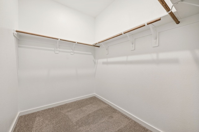 4119 Fig Grove St, Houston, TX 77080 - photo 7