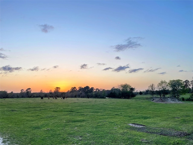 1178 County Road 211, Anderson, TX 77830