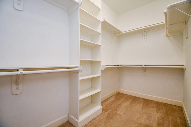 1909 Hickory St, Houston, TX 77007 - walk in closet featuring carpet