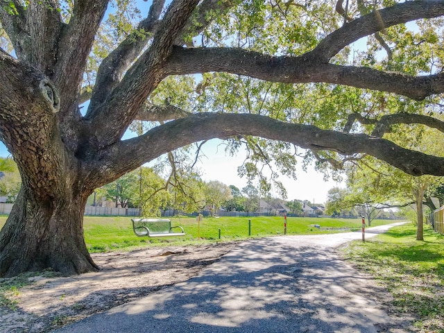 607 Ellingham Dr, Katy, TX 77450 - view of home's community featuring a yard