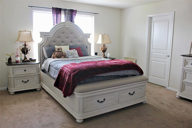 9914 Waldens Pond Ct, Houston, TX 77044 - bedroom with light colored carpet and baseboards