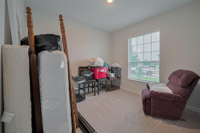 3213 Overfalls Dr, Santa Fe, TX 77510 - sitting room with carpet flooring and baseboards